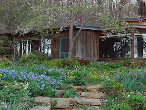 Bird Hill Charlottesville, Virginia Landscape Design with Cole Burrell