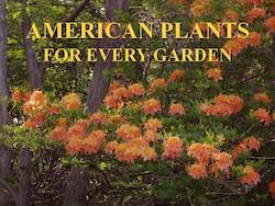 American Plants for Every Garden