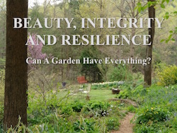 Beauty, Integrity and Resilience: Can a Garden Have Everything by Cole Burrell