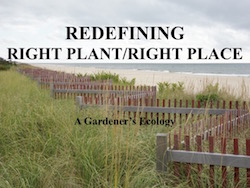 Redefining Right Plant Right Place by Cole Burrell