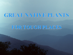 Great Natives for Tough Places by Cole Burrell