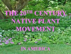 The Native Plant Movement in North America by Cole Burrell