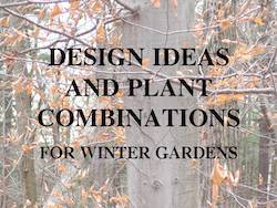 Desigh Ideas and Plant Combinations for Winter Gardens by Cole Burrell