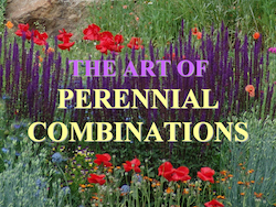 The Art of Perennial Combinations by Cole Burrell