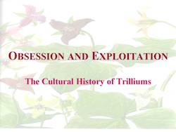 Obsession and Exploitation: The Cultural History of Trilliums by Cole Burrell