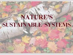 Nature's Sustainable Systems: A Gardener’s Primer to Understanding Cycles and Flows by Cole Burrell