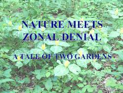 Nature Meets Zonal Denial: A Tale of Two Gardens by Cole Burrell